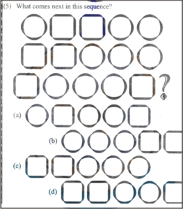 Non verbal intelligence test