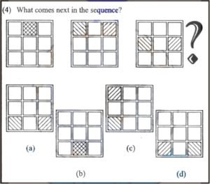 Non verbal intelligence test