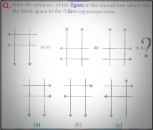 Non verbal intelligence test