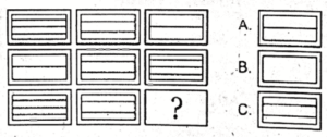 non verbal intelligence test 11