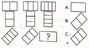 non verbal intelligence test 12