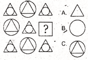 non verbal intelligence test 13