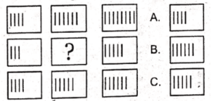 non verbal intelligence test 15