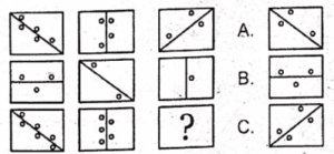 non verbal intelligence test 16