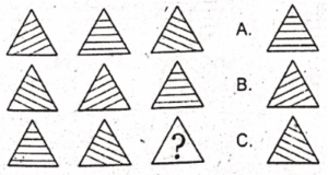 non verbal intelligence test 17