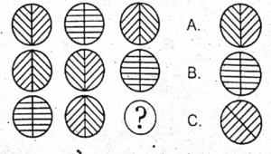 non verbal intelligence test 21