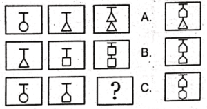 non verbal intelligence test 22