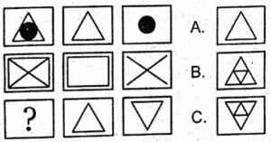 non verbal intelligence test 23