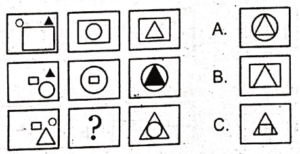 non verbal intelligence test 24