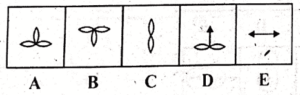 non verbal intelligence test 36