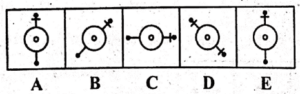 non verbal intelligence test 43