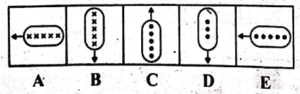 non verbal intelligence test 44