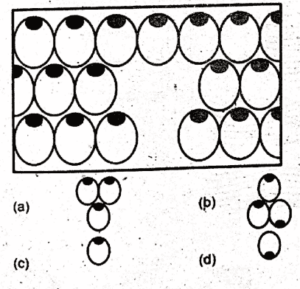 non verbal intelligence test 46