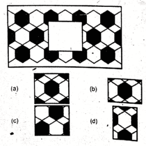 non verbal intelligence test 49