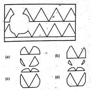 non verbal intelligence test 50