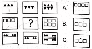 non verbal intelligence test online 12