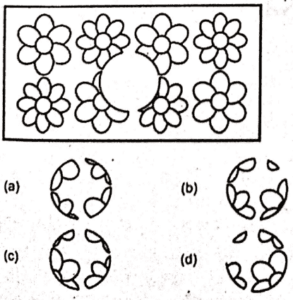 non verbal intelligence test online 49