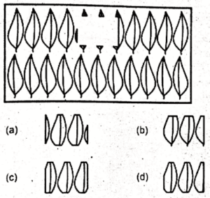 non verbal intelligence test online 56